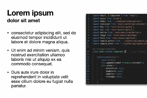 CaptureD2L 프로젝트 소개