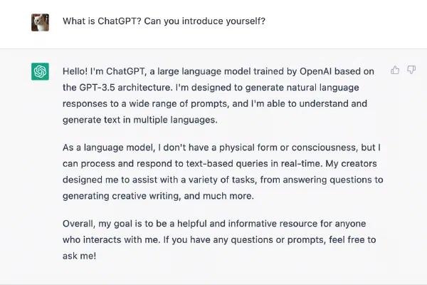 AI 기반 채팅 서비스 비교와 단상